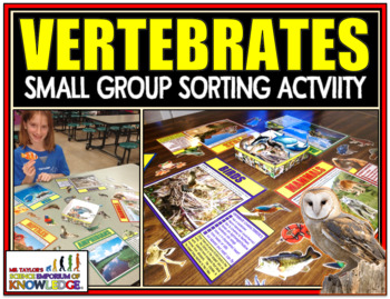 Preview of Animal Classification: Vertebrate Sorting Activity