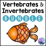 Vertebrates And Invertebrates Activity Teaching Resources | Teachers