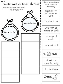 Vertebrate and Invertebrate Activity BUNDLE by JH Lesson Design | TpT