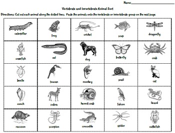 Vertebrate and Invertebrate Animal Flip Book and Sorting ...