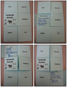 Preview of Vertebrate Flip Book and Vertebrate and Invertebrate Animal and Sorting