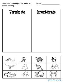 Vertebrate And Invertebrate Sorting Worksheet