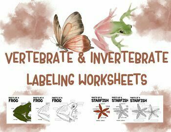 free printable worksheets on vertebrates and invertebrates pdf
