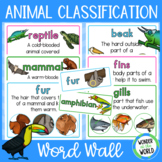 Vertebrate animal classification science vocabulary word wall K-2
