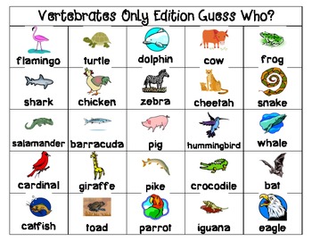 "Vertebrate or Invertebrate Guess Who?" Games Pack by Katie Crystal