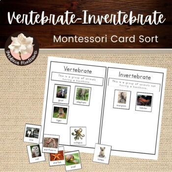Preview of Vertebrate or Invertebrate Montessori Card Sort