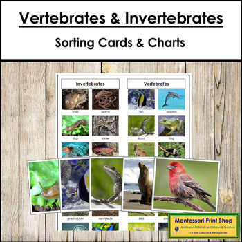 Preview of Vertebrates and Invertebrates Sorting - Cards & Control Chart