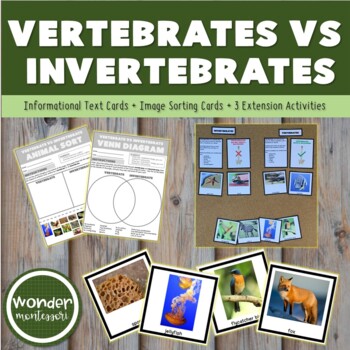 Preview of Vertebrate vs Invertebrate Card Sort and Activities
