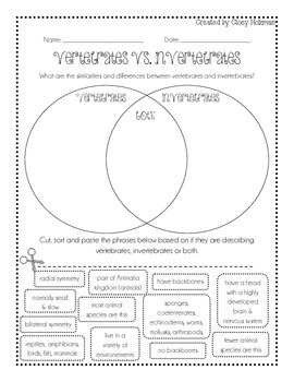Vertebrate vs Invertebrate Venn Diagram by Cloey Holzman | TpT