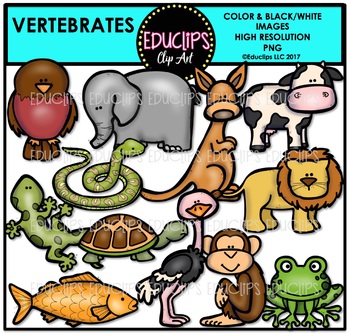 Animal Groups Clip Art Bundle /Birds /Worms /Fish clip art