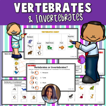 Preview of Vertebrates {Editable} {Worksheets + Chart} {Grades 2-4}- Ms Marwa Tarek