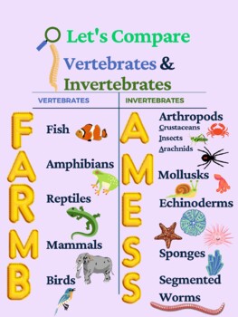Vertebrate And Invertebrate Charts Teaching Resources | TPT
