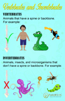 Preview of Vertebrates & Invertebrates Comparison Poster
