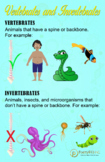 Vertebrates & Invertebrates Comparison Poster