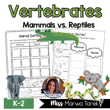 Preview of Vertebrates: Mammal vs. Reptiles {Worksheets} - Ms Marwa Tarek