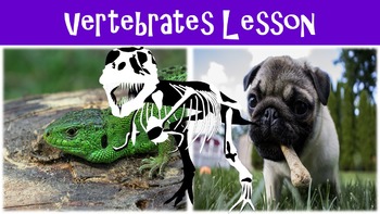Preview of Vertebrates Lesson with Power Point, Worksheet, and Activity Page
