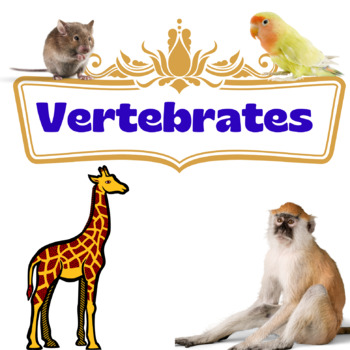 Preview of Vertebrates - PowerPoint, Flashcards, Posters, Exercises