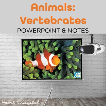 Preview of Vertebrates PowerPoint and Notes - PowerPoint and Google Slides
