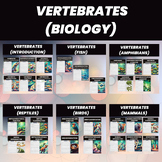 Vertebrates Unit | Definition, Characteristics & Classific