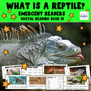 Preview of Vertebrates - What is a reptile? - Struggling Readers- Google Slides™ - 0013 