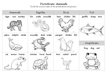 Vertebrates - Worksheet for Kindergarten-1st Grade by Learn English