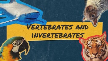 Preview of Vertebrates and Invertebrates