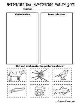 Vertebrates and Invertebrates | Kindergarten 1st 2nd 3rd Grade | Activity