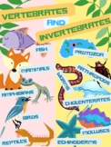 Vertebrates and Invertebrates