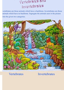 Preview of Vertebrates and Invertebrates