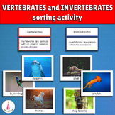 Vertebrates and Invertebrates Animal Classification Activity