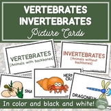 Vertebrates and Invertebrates Center Cards