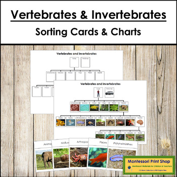 invertebrates and vertebrates chart