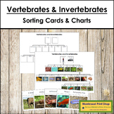 Vertebrates and Invertebrates Control Chart & Cards