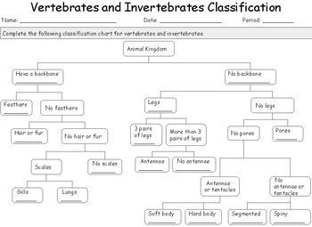 Vertebrates and Invertebrates Classification by The Science Express