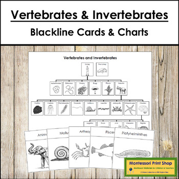 Vertebrate And Invertebrate Charts Teaching Resources | TPT