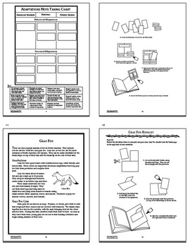 Vertebrates and Invertebrates 4th Grade Science Interactive Bundle – 33