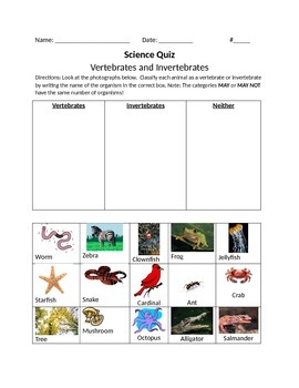 Vertebrates and Invertebrates Quiz by 5th Grade Fabulous | TpT