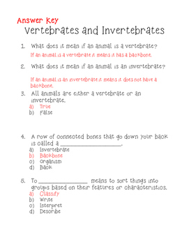 Vertebrates And Invertebrates Quiz Activity By Kt S Klassroom