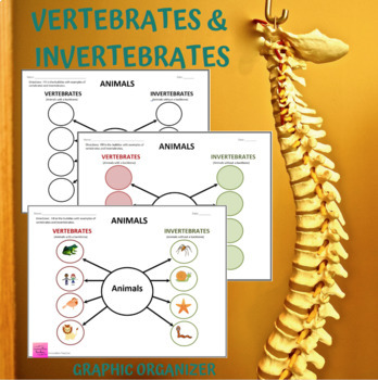 Preview of Vertebrates and Invertebrates Science Graphic Organizer