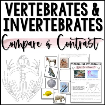 Compare & Contrast - Vertebrates and Invertebrates | TpT