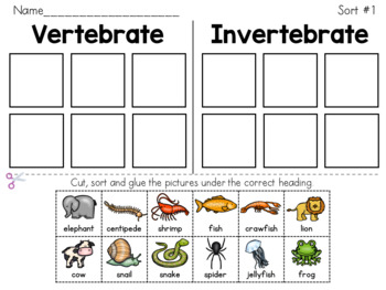 Preview of Vertebrates and Invertebrates Sorts