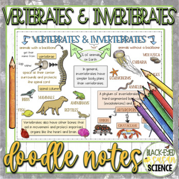 Preview of Vertebrates and Invertebrates Doodle Notes & Quiz