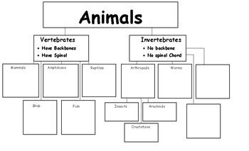 Preview of Vertebrates and Invertebrates Tree - Chart