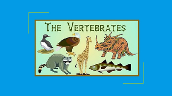 Preview of Vertebrates and Their Groups