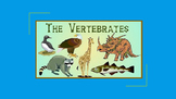 Vertebrates and Their Groups