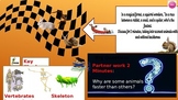 Vertebrates and invertebrates Powerpoint