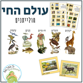 Preview of Vertebrates game in Hebrew
