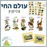 Vertebrates game in Hebrew