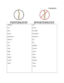 Vertebrates vs. Invertebrates Lesson, Foldable, Graphic Organizer!