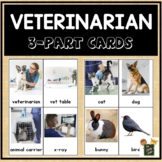 Vet 3-Part Cards (with real photos!)